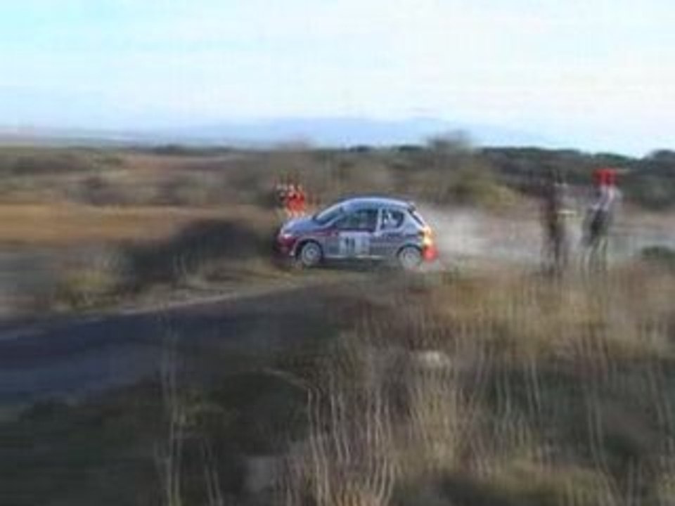 crash 206