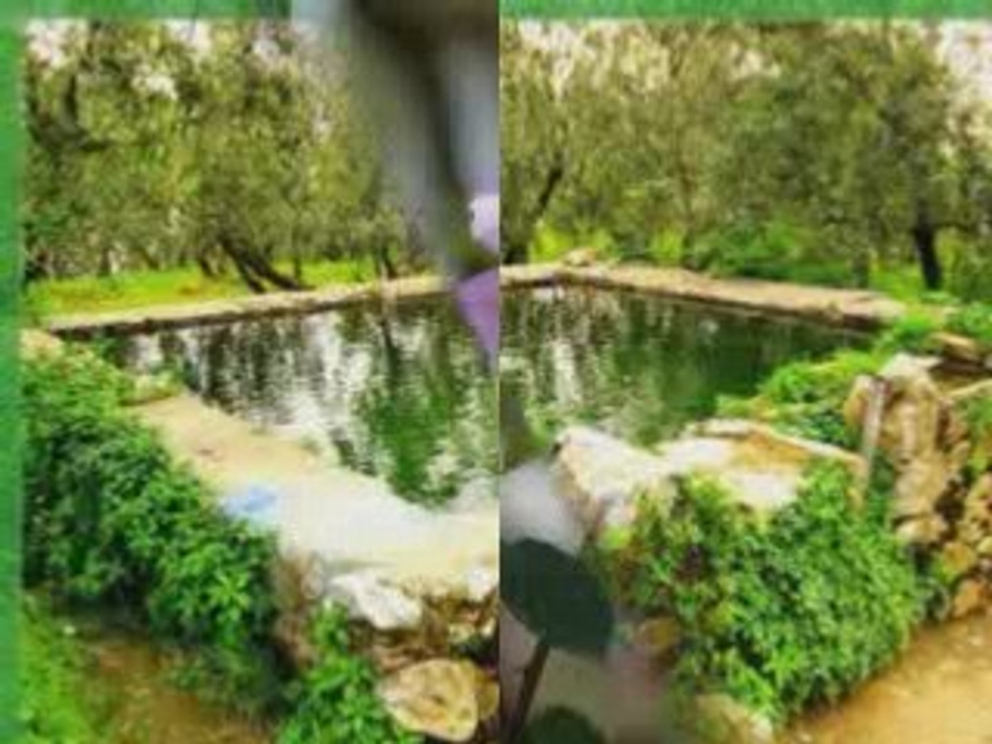 Tancuvai Pagane Ilka Aleksandrova