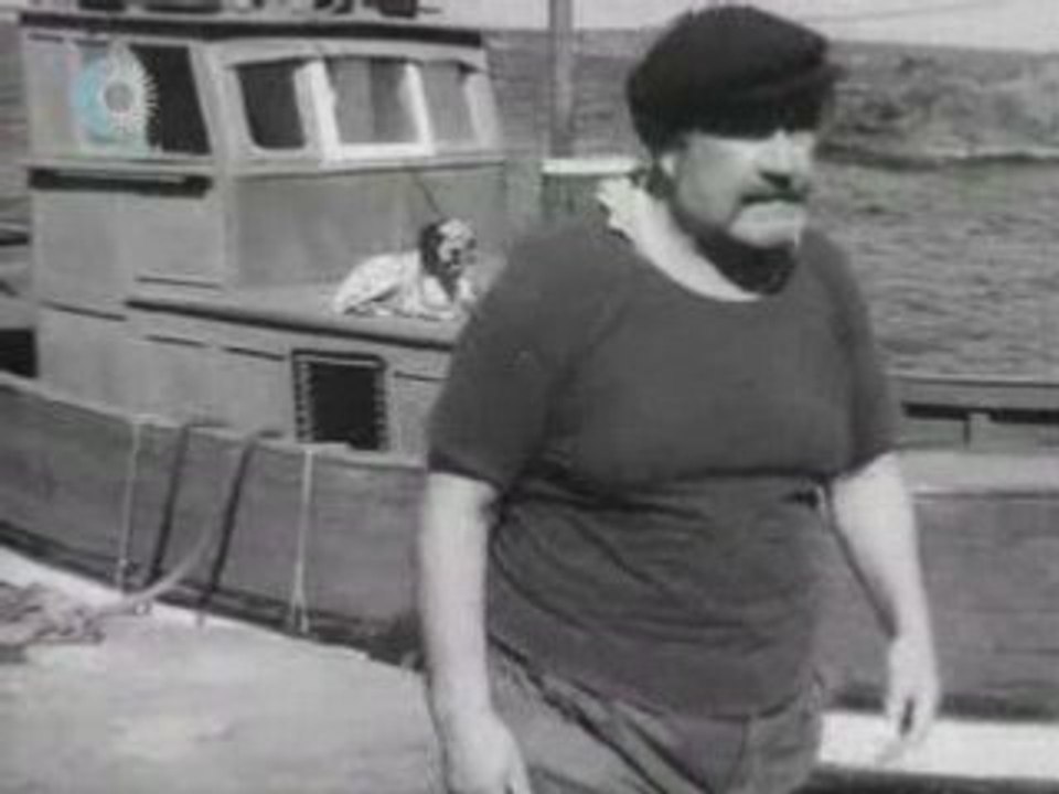Bal na ostrova Daite mi obi4