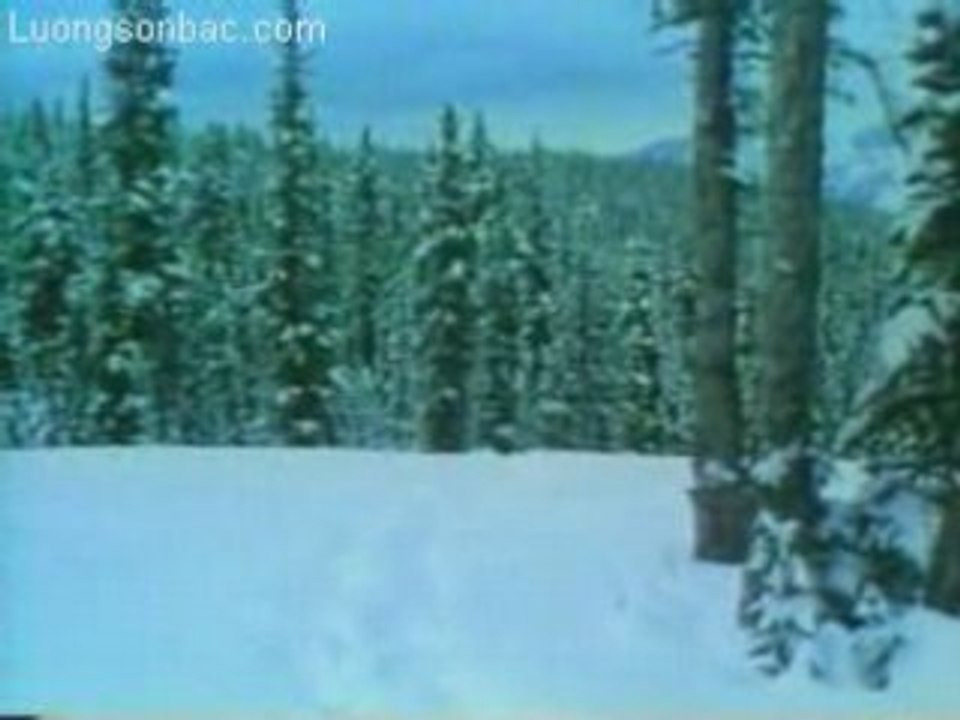 PhuQuyLietXa(Thien)-1_NEW_chunk_1