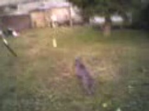 petite pose avc saya é moi 2