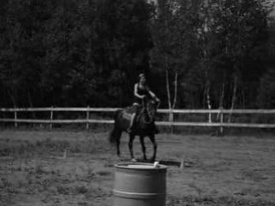 AMUSEMENT DE MOi ET HARLEY