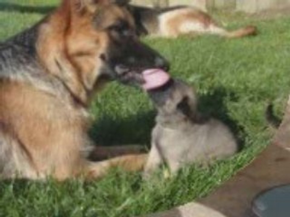 Video bb kiki