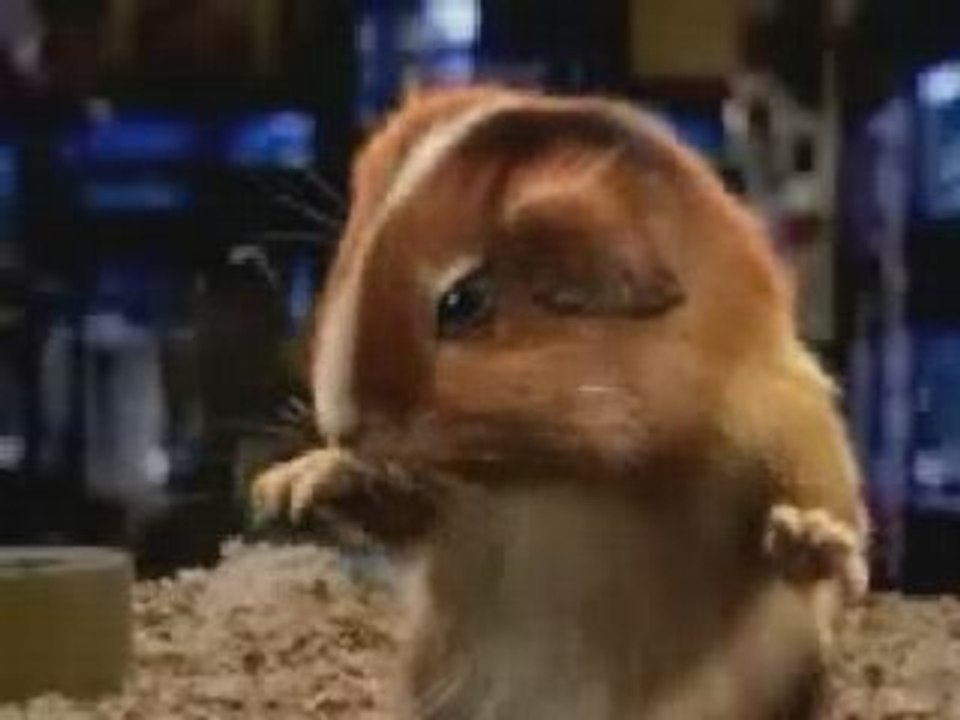 Mache deine Geld im WorldWideWeb