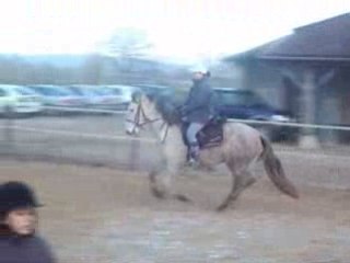 penelope fin decembre 2007 debourage