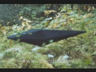 Dr Jonathan Reed ODISEALINKcom pt5