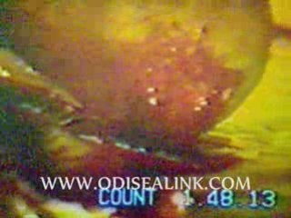 Dr Jonathan Reed ODISEALINK  com pt6