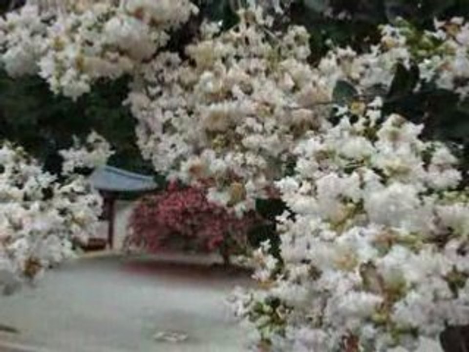MOV00148