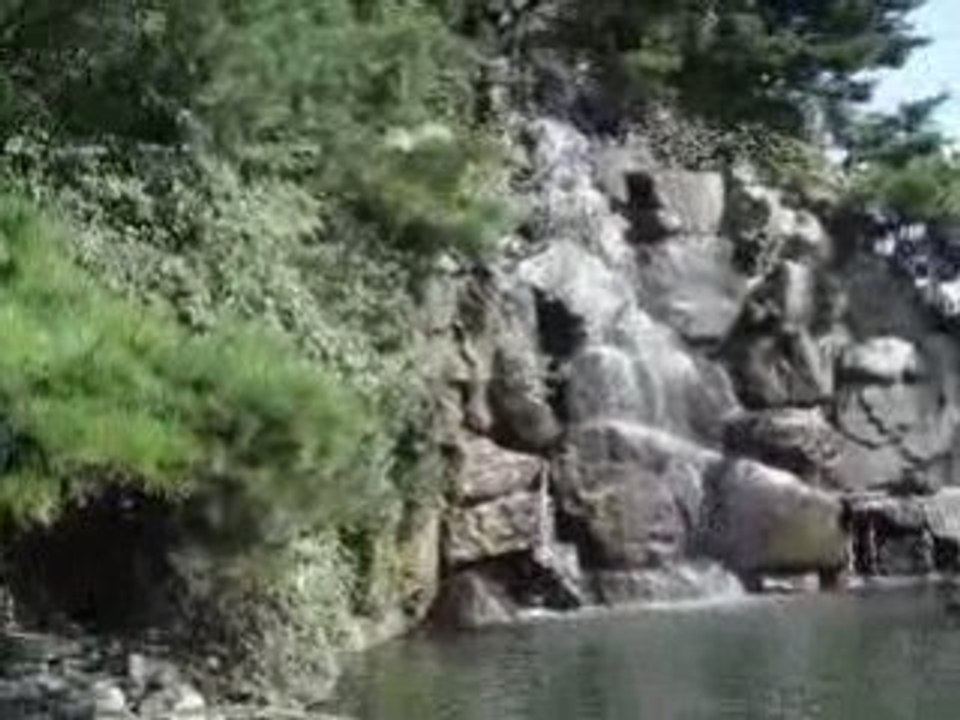 MOV00541