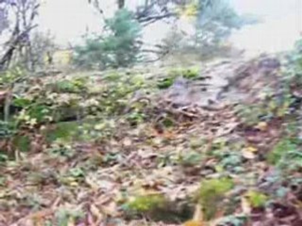 Enduro en corréze avec le Team Belgium 1