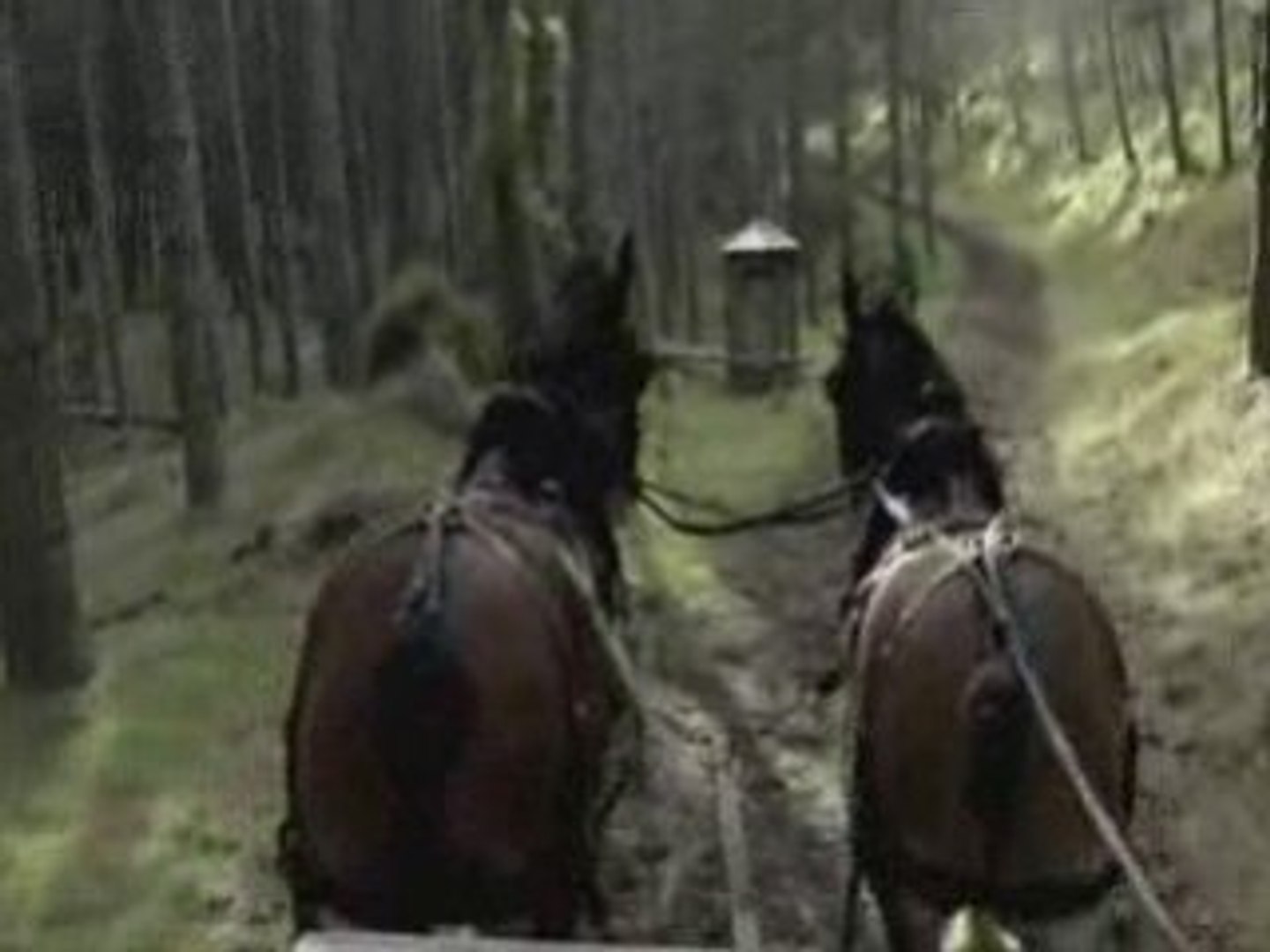 Legend Of The Seeker VOSTFR - 1x03 Bounty P.3