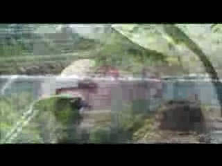 Eiffage - Route des Tamarins