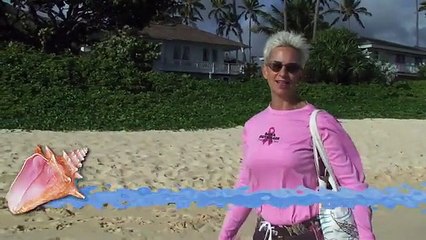 Beach Walk 716 - Volunteering to Vacation