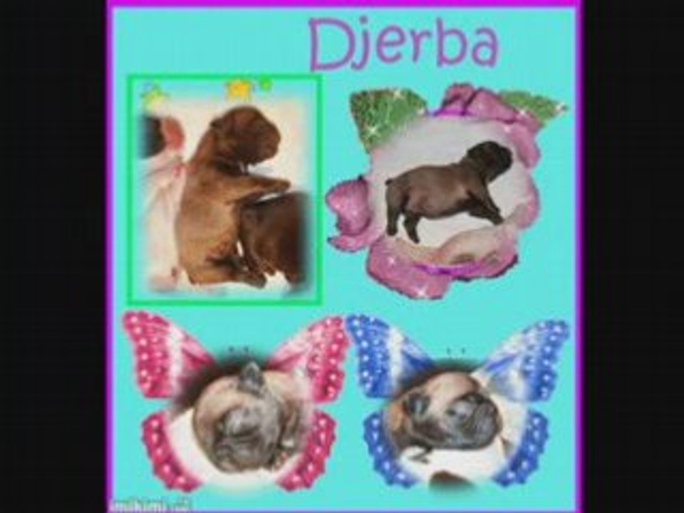 Vidéo-baby's boulis bountymontage