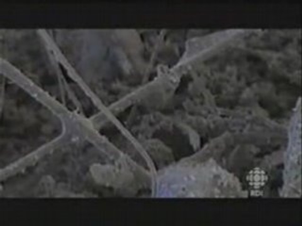 L'héritage empoisonné du 11 Septembre 2001_3de7