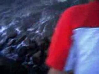 Finding the Mollusks