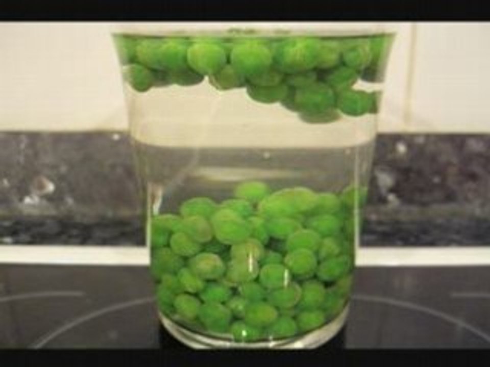 Whirled Peas