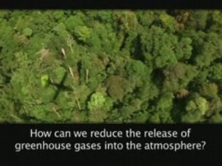 State of the Forest - Climate Change