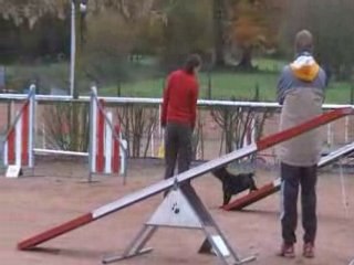 Entraînement Adyns 04-gloups, cours !