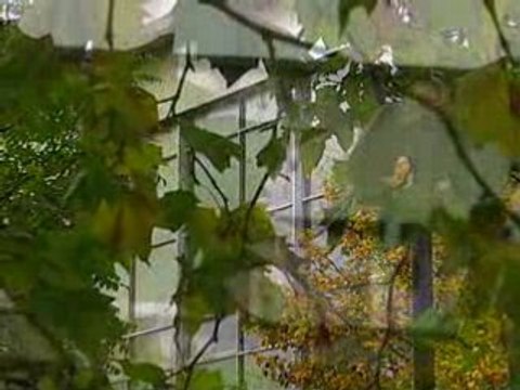 Baby P pressure grows