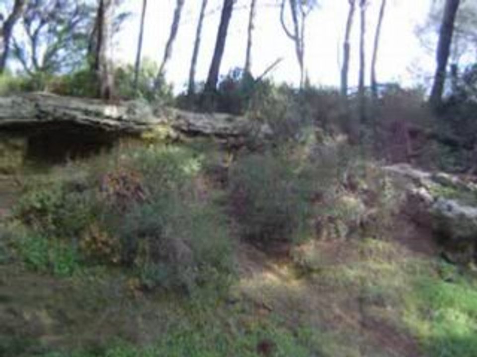 TOF GAP SAINT BLAISE 2