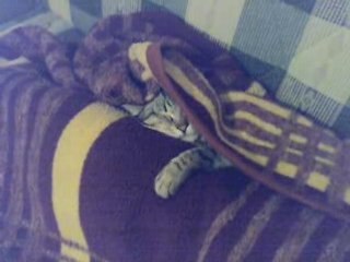 Sweet dreams Oliver