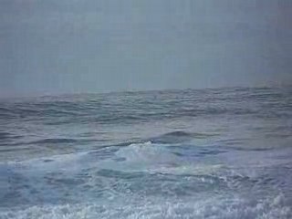 Le régal des surfeurs
