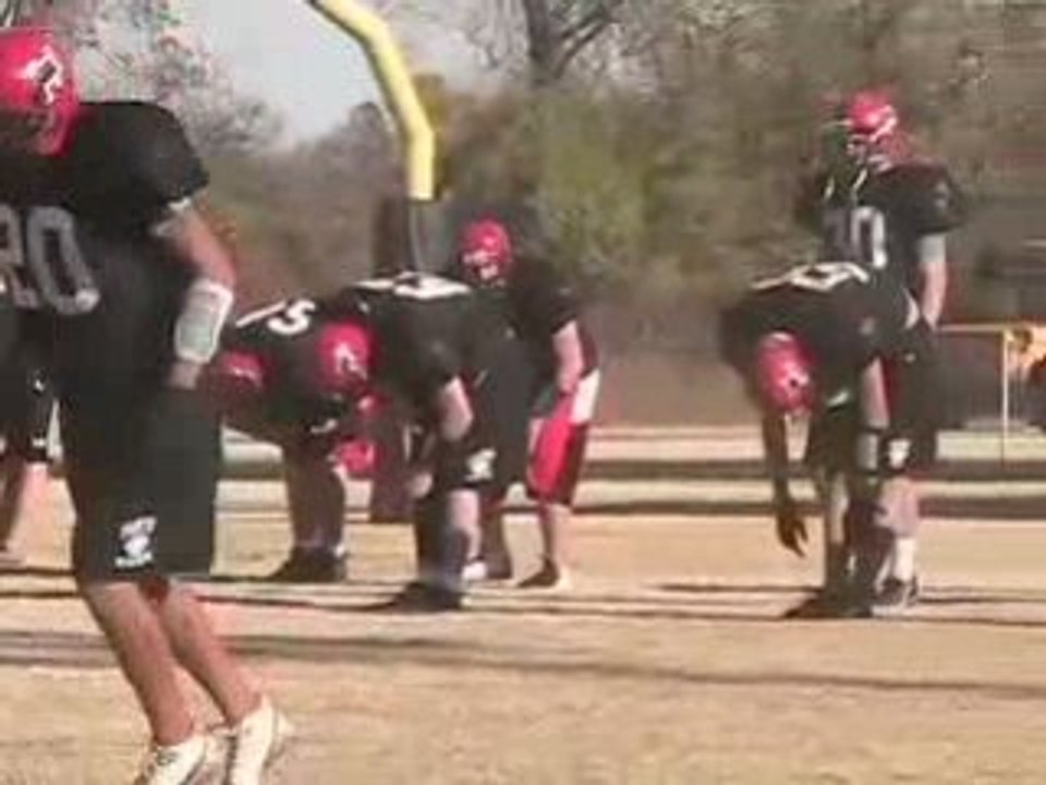 Panther Update Week 11