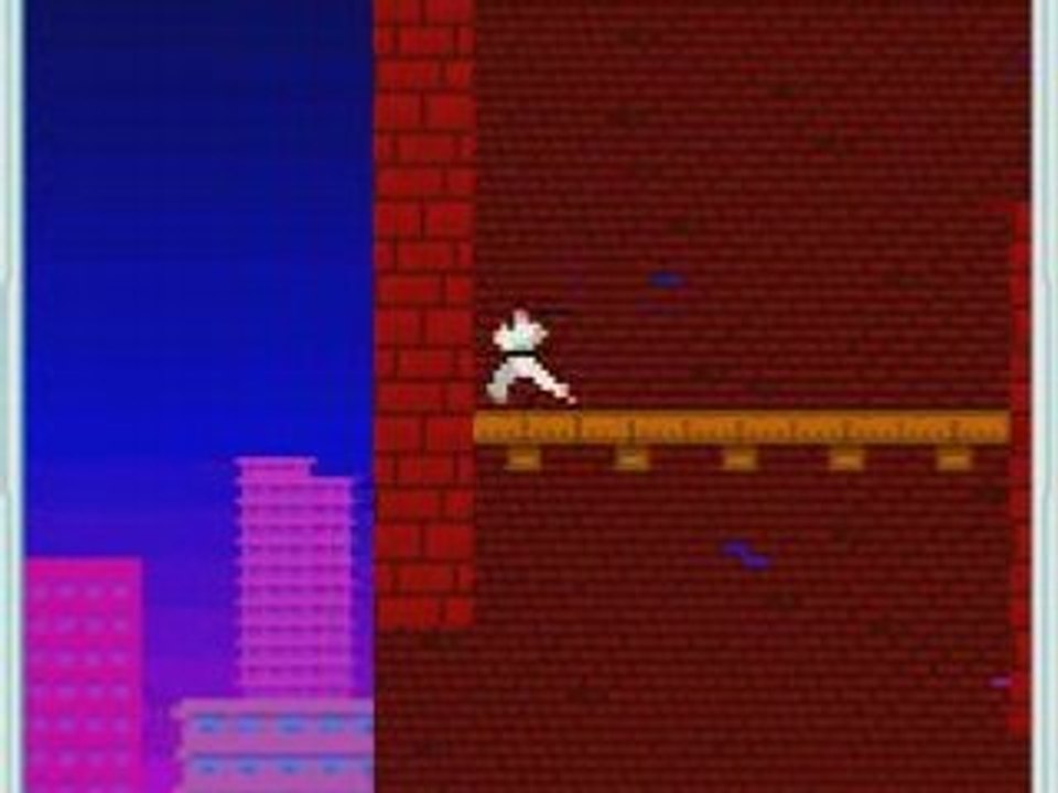 Judo commando (29320)