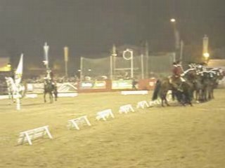golega 6