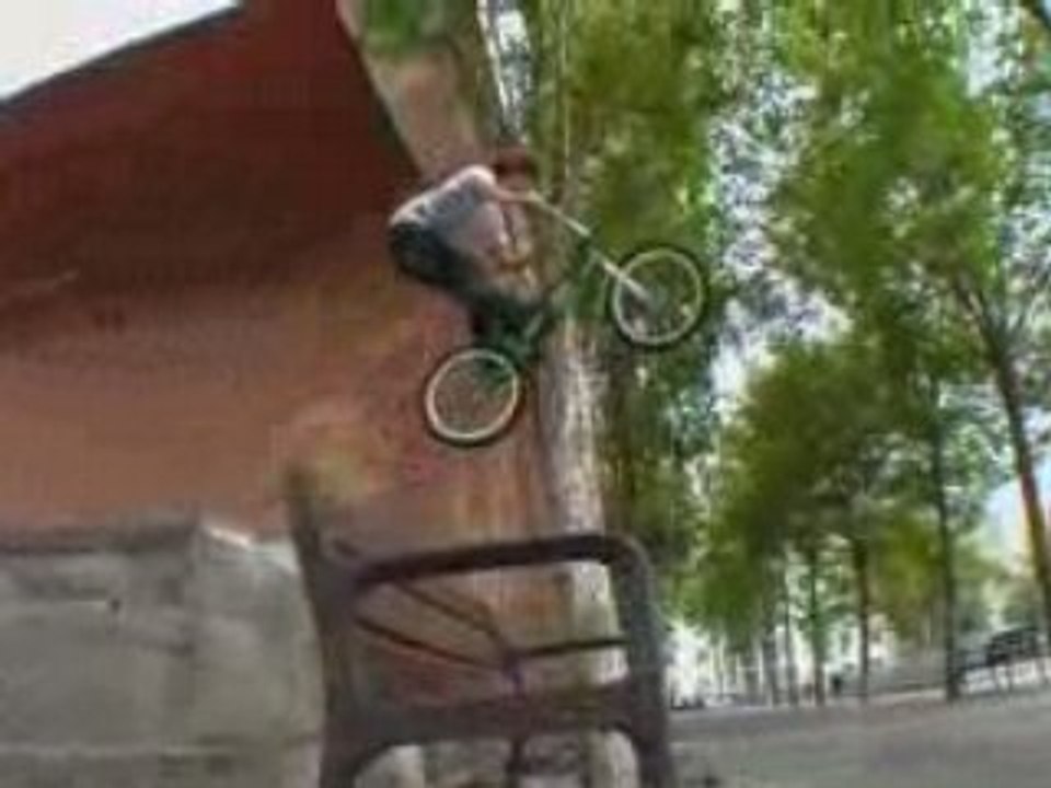 [BMX] LEVIS Team 2008 - Short  [Goodspeed]