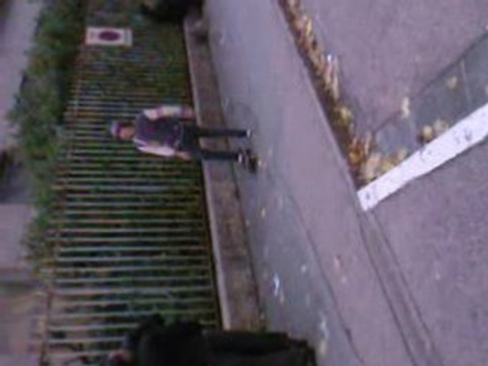 holi avant ! skate