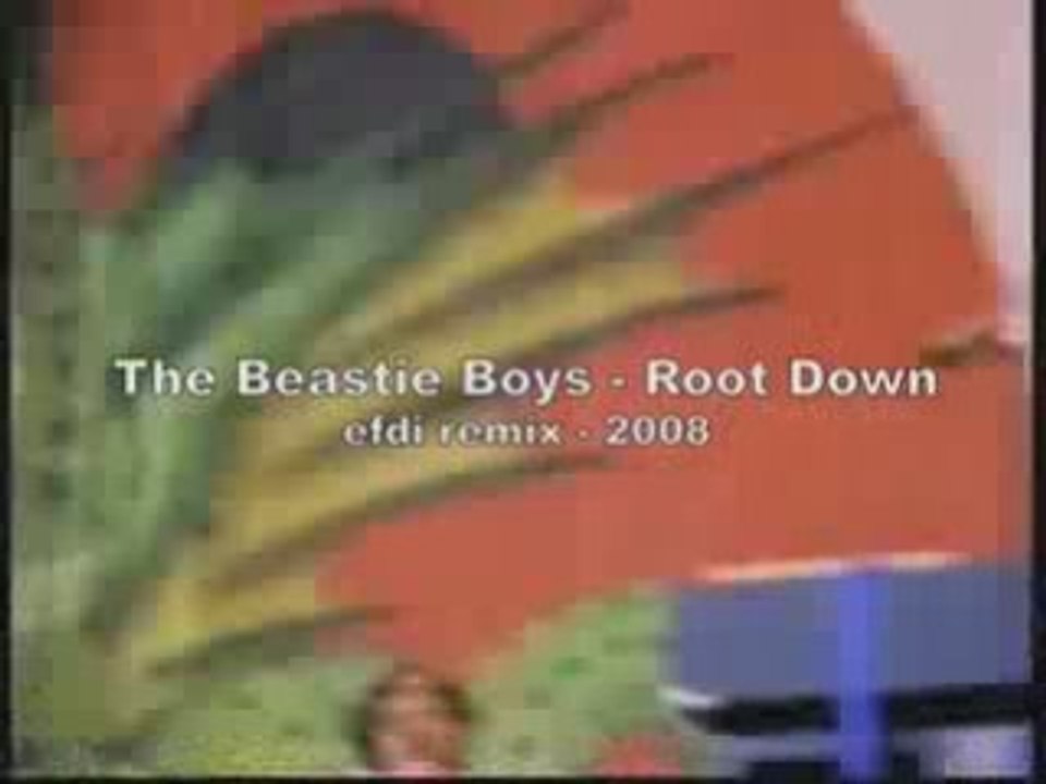 Root down - The Beastie Boys (efdi remix)