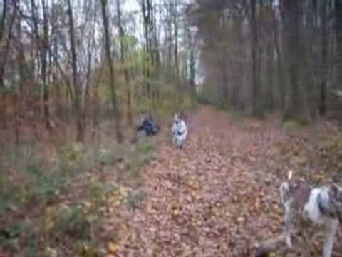 Capturées 2008-11-12 00007