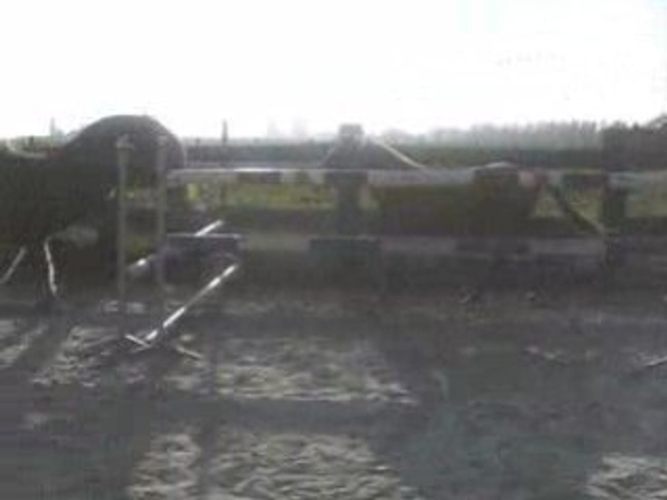 CIMG0659
