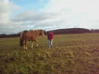 montage de quelques scéance avec Cheyko
