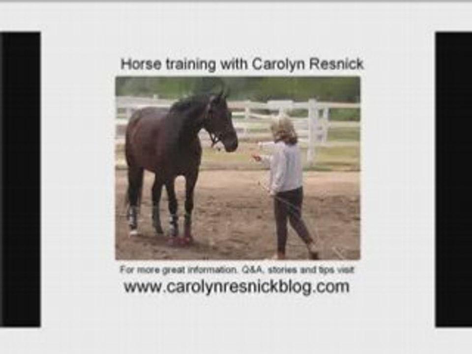Horse Training