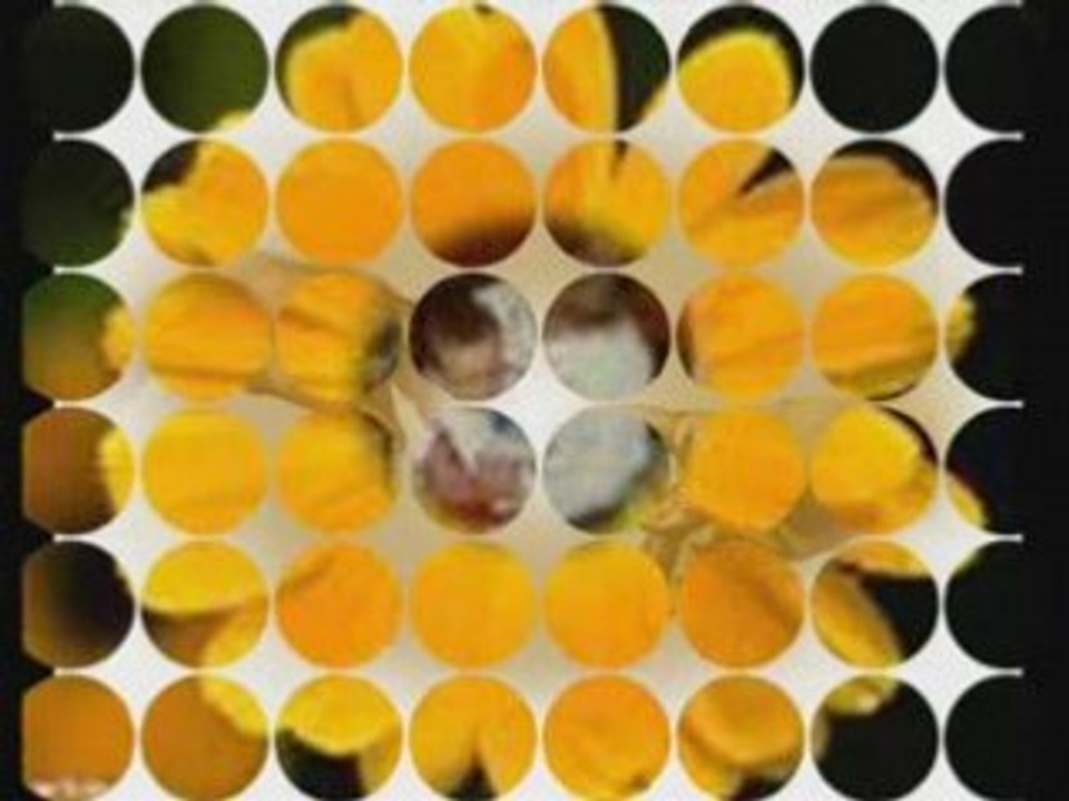 New video music amis du blog