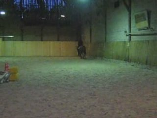 Reprise Libre en Musique Mina