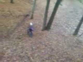 marche a boncelle