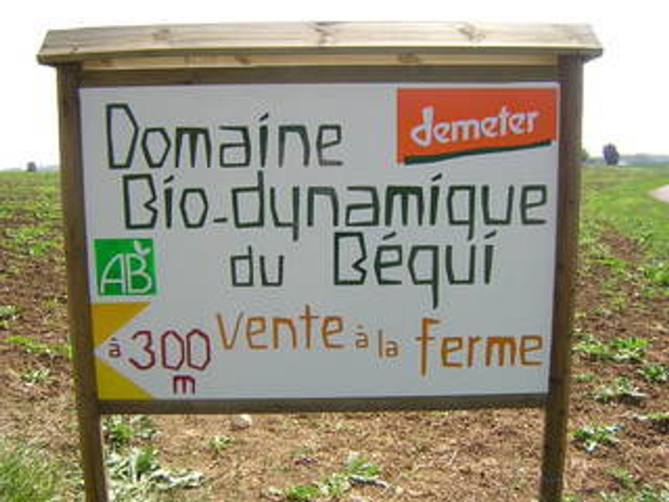 Le Béqui