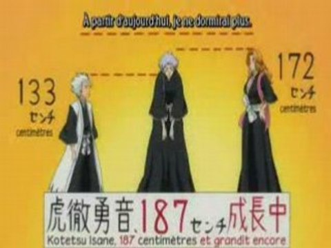 Bleach 195 preview vostfr