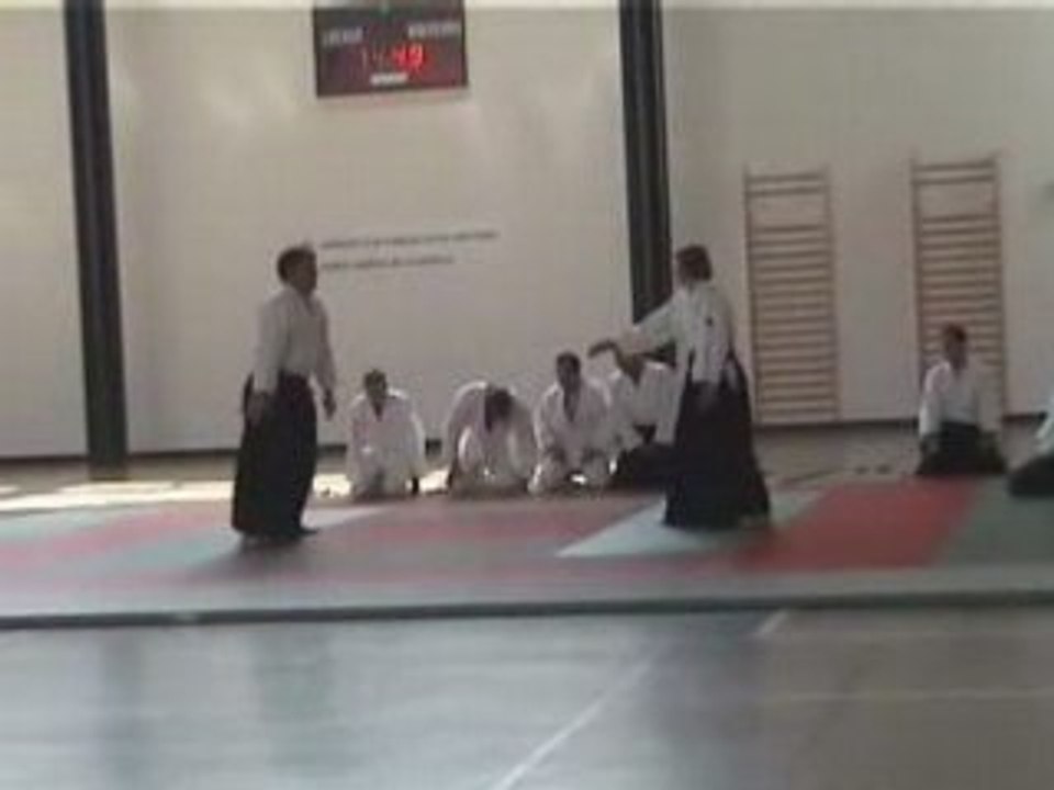 Aikido demo 20080622