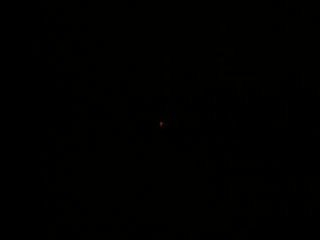 FUSEE ZINNIA N° 4 SUITE 4 COULEURS PYRAGRIC