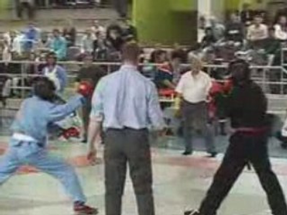 Viet Vo Dao Championnat de France 2006