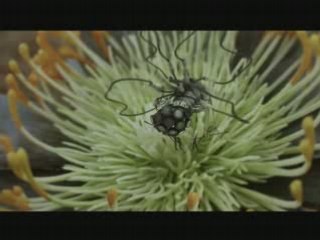 Saturn - Technik Evolution