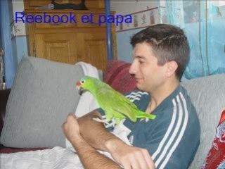 MONTAGE MUSICAL animaux!! ^^