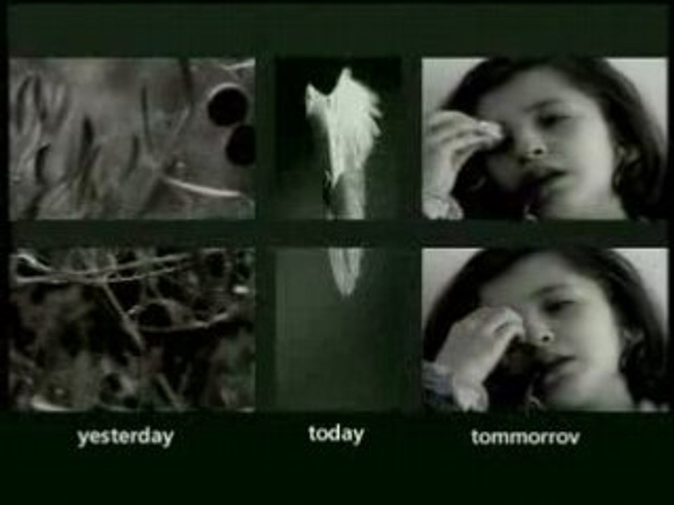 Documentary is important