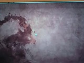 Samsung NC10 + Ubuntu 8.10