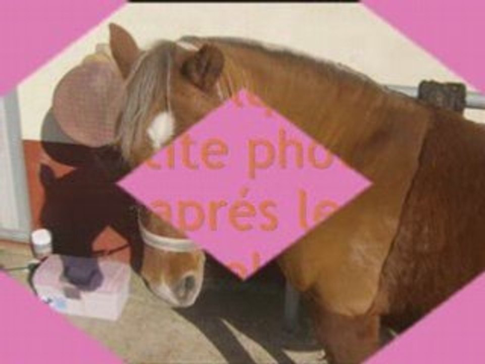 némo et nono